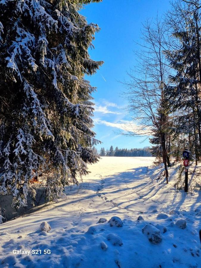 Ferienhäuser Olbernhau Erzgebirge Exterior foto