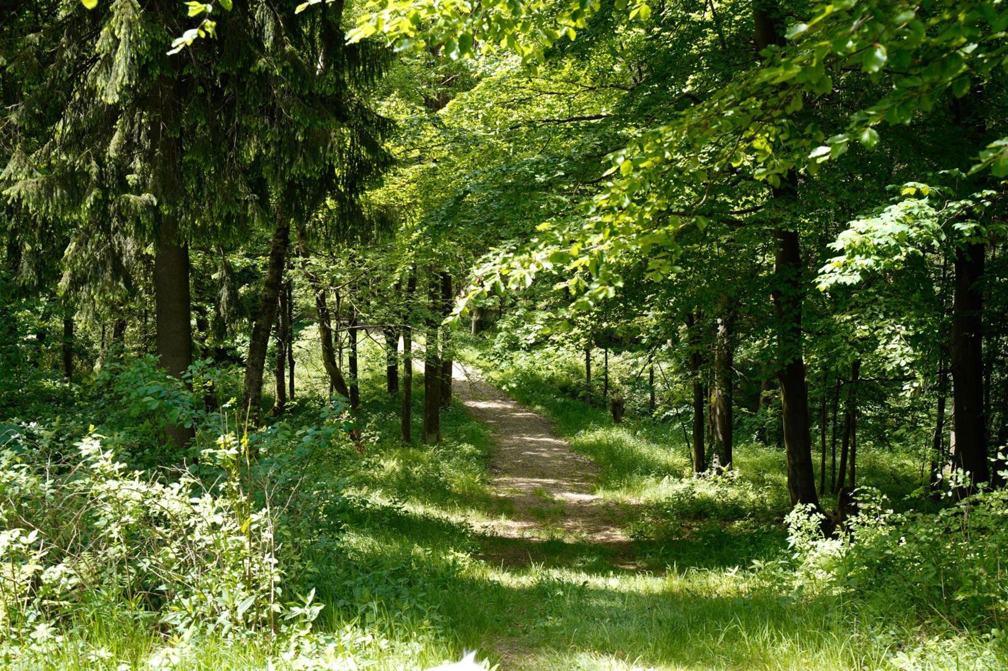 Ferienhäuser Olbernhau Erzgebirge Exterior foto